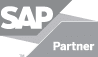 SAP Silver Partner