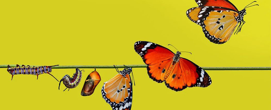 Fixed Asset Lifecycle Journey and Strategies for Success