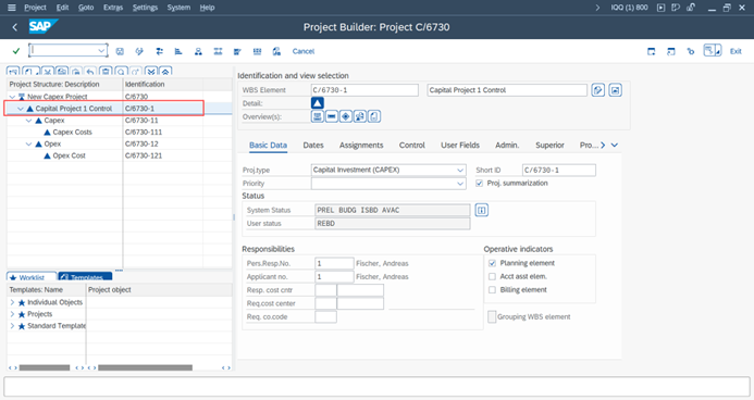 Define WBS Structure for SAP Project Milestones
